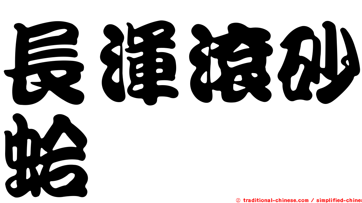 長渾滾砂蛤