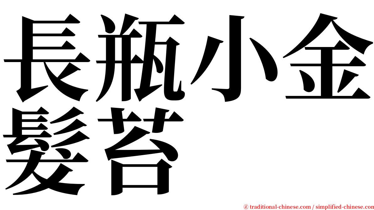 長瓶小金髮苔 serif font