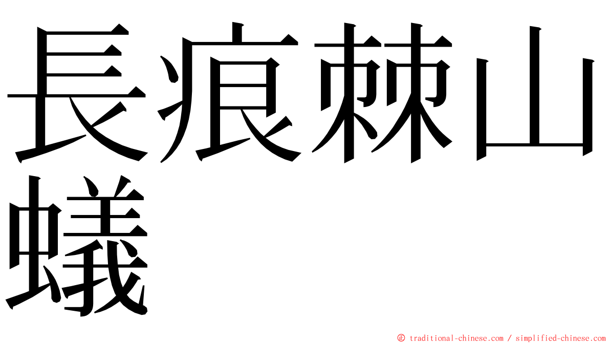 長痕棘山蟻 ming font