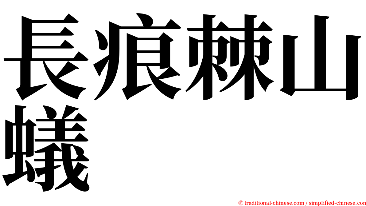 長痕棘山蟻 serif font