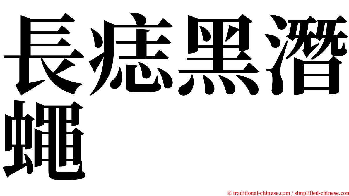 長痣黑潛蠅 serif font