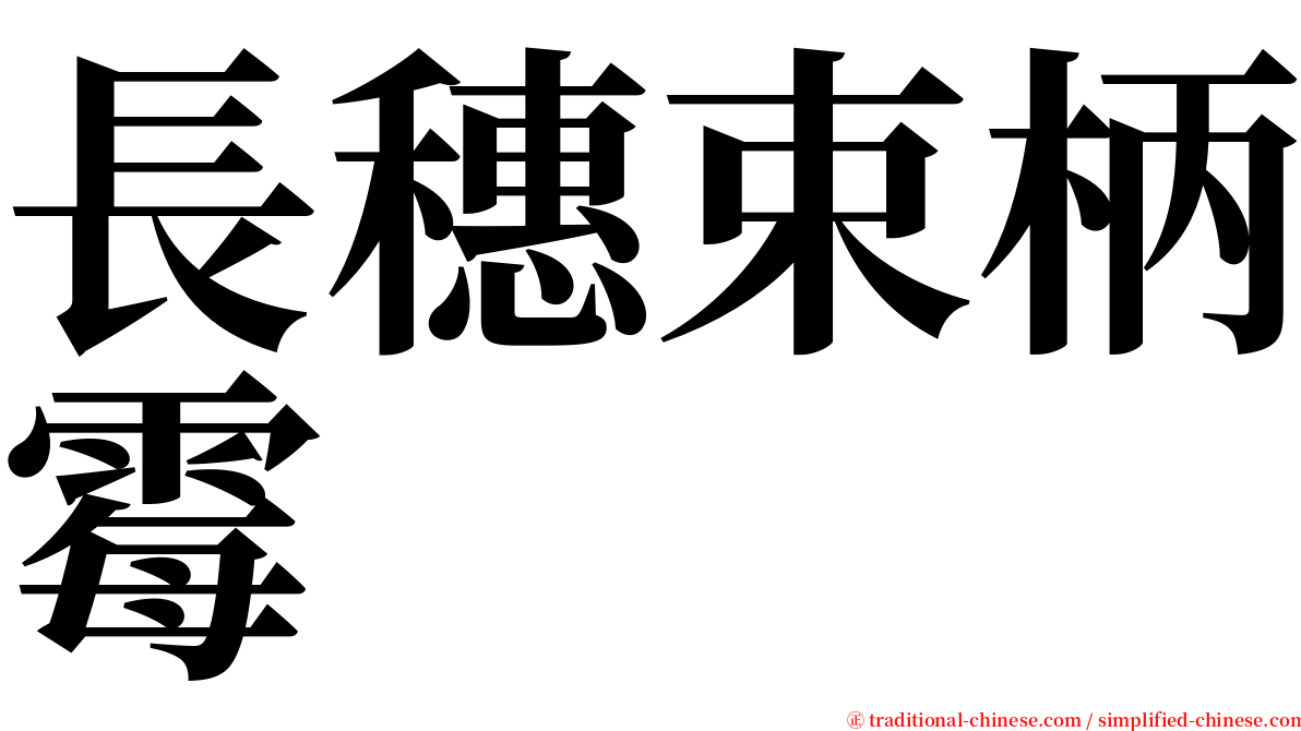 長穗束柄霉 serif font