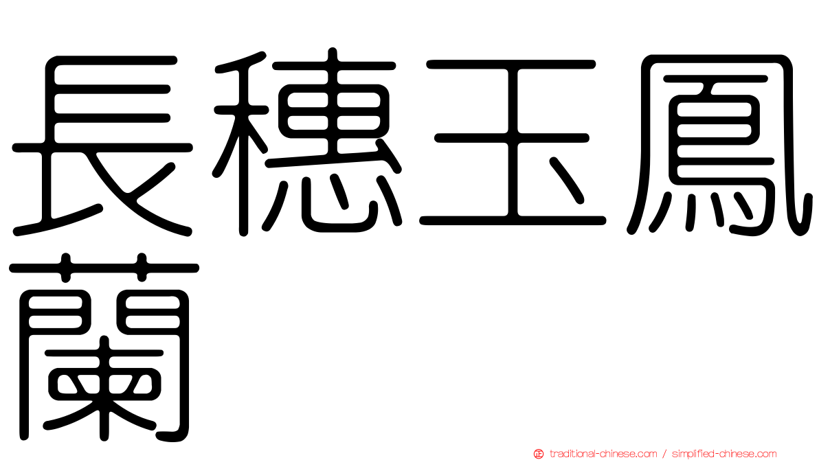 長穗玉鳳蘭