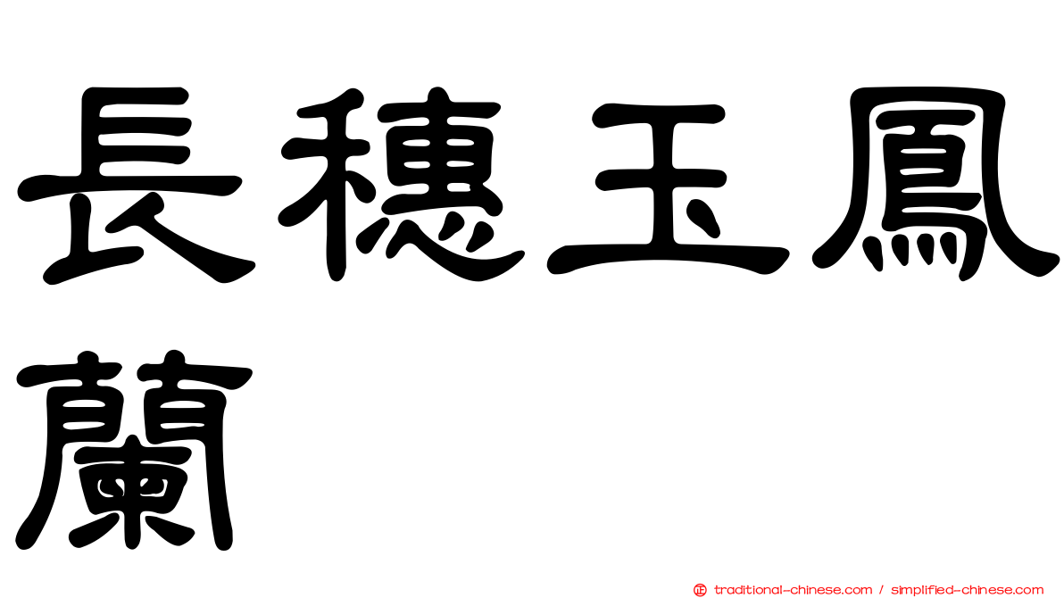 長穗玉鳳蘭