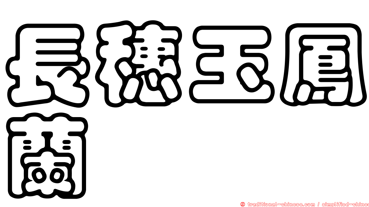 長穗玉鳳蘭