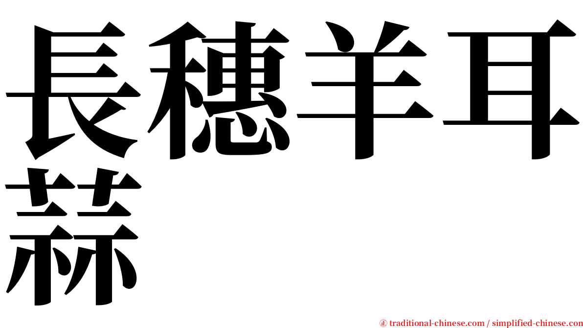 長穗羊耳蒜 serif font