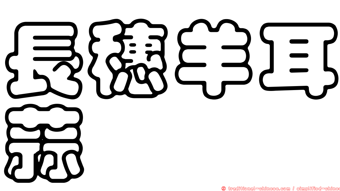 長穗羊耳蒜