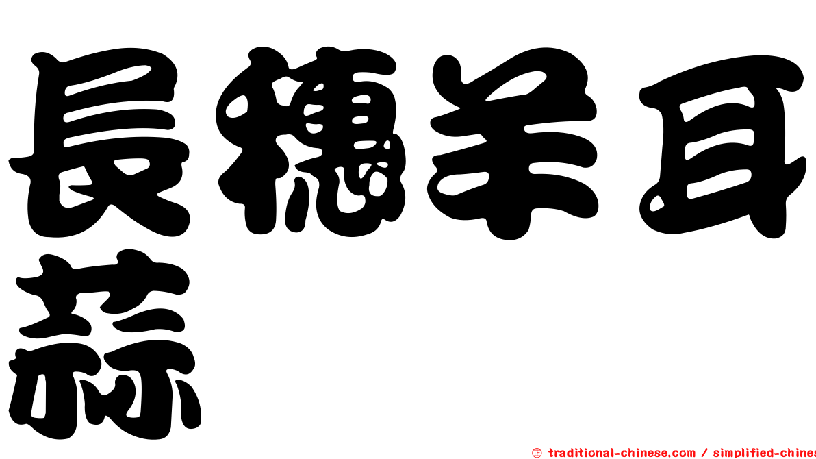 長穗羊耳蒜