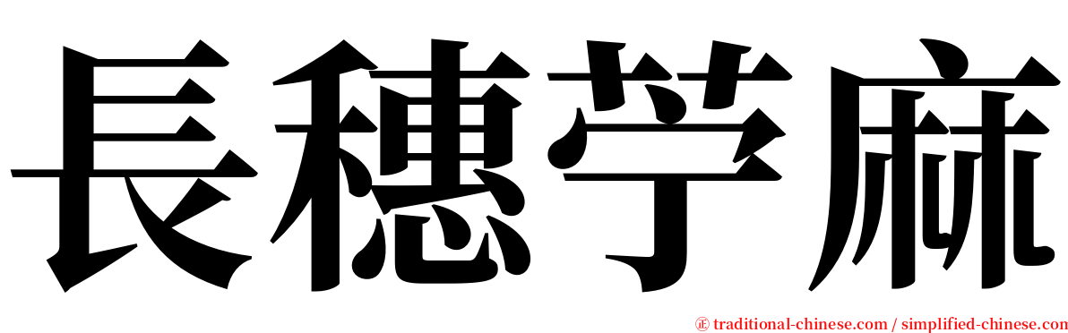 長穗苧麻 serif font