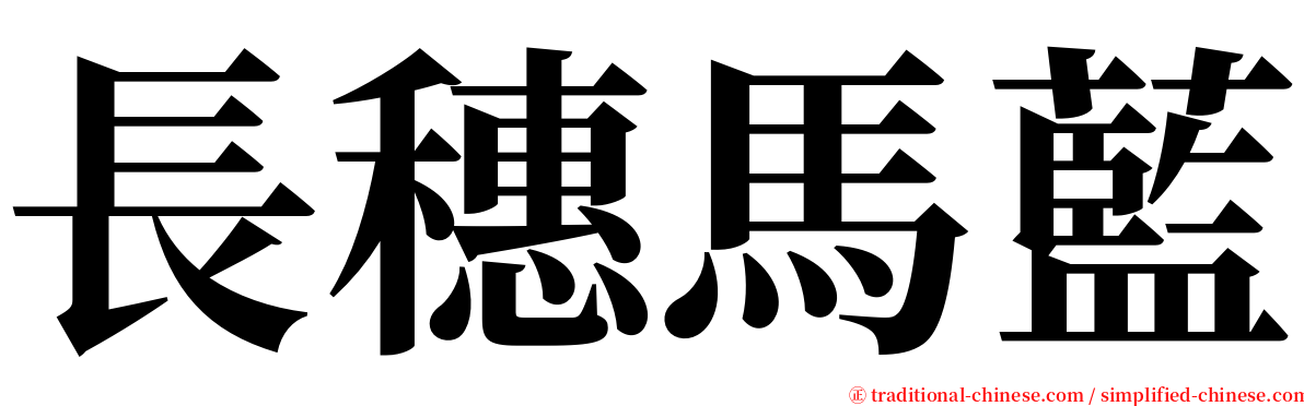 長穗馬藍 serif font