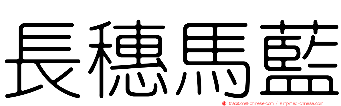 長穗馬藍