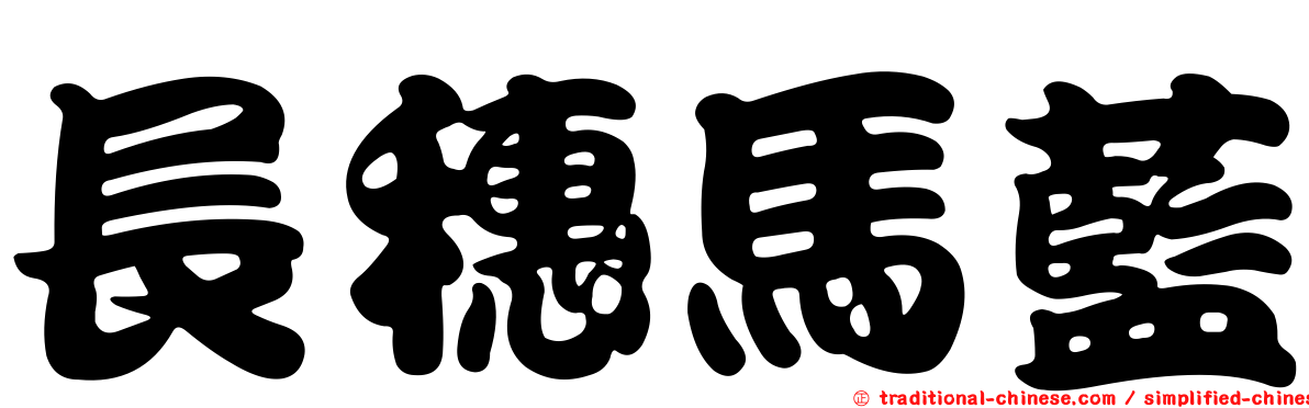 長穗馬藍