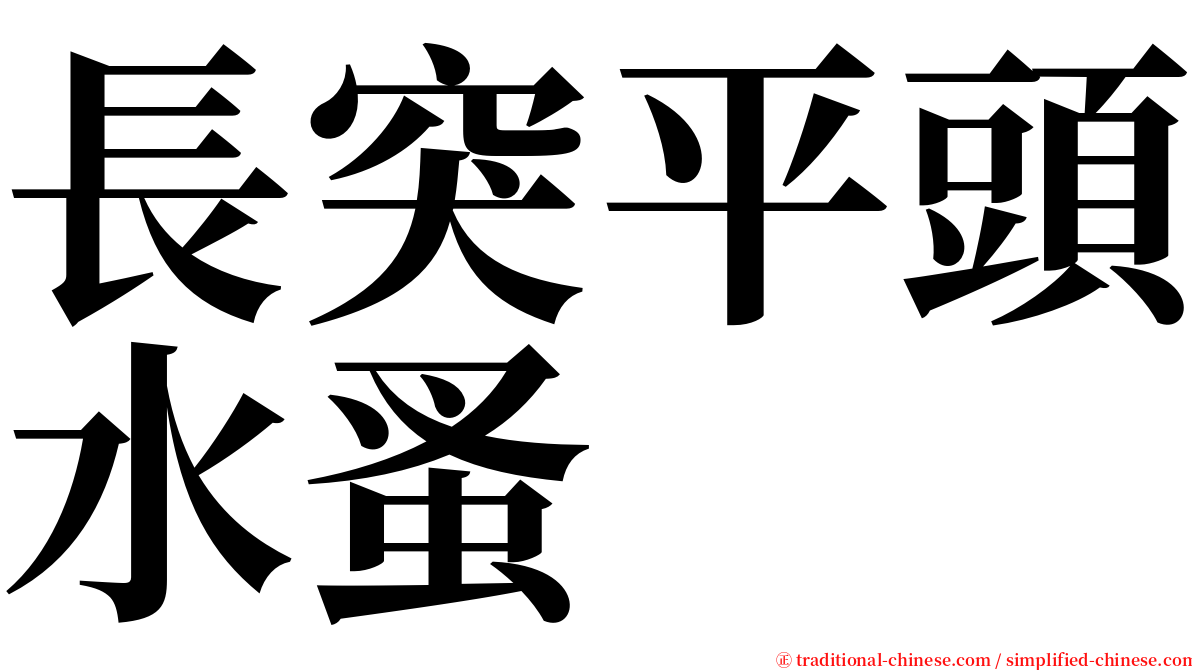 長突平頭水蚤 serif font