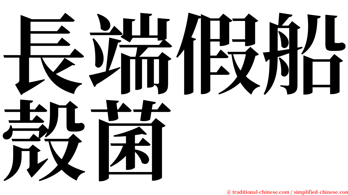長端假船殼菌 serif font