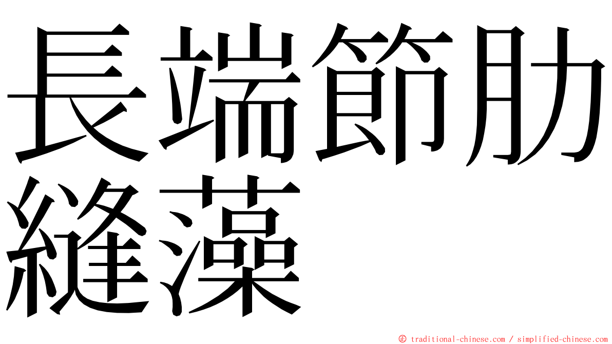 長端節肋縫藻 ming font