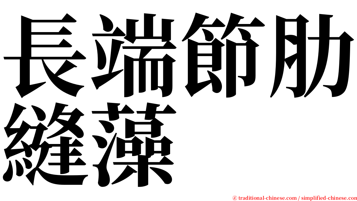 長端節肋縫藻 serif font