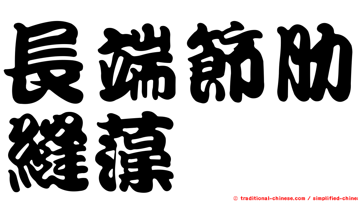 長端節肋縫藻