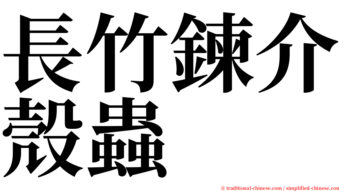 長竹鍊介殼蟲 serif font