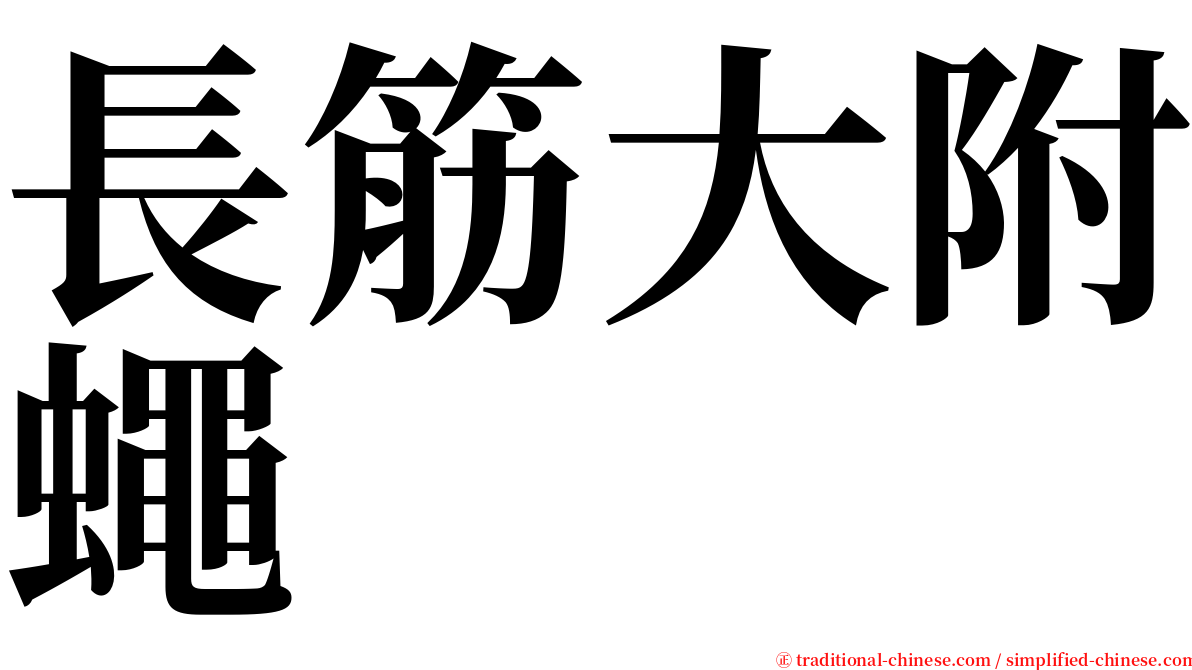 長筋大附蠅 serif font