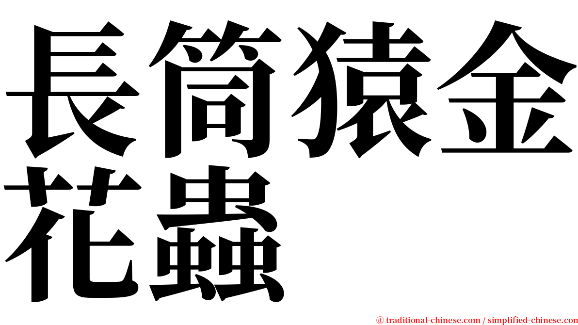 長筒猿金花蟲 serif font