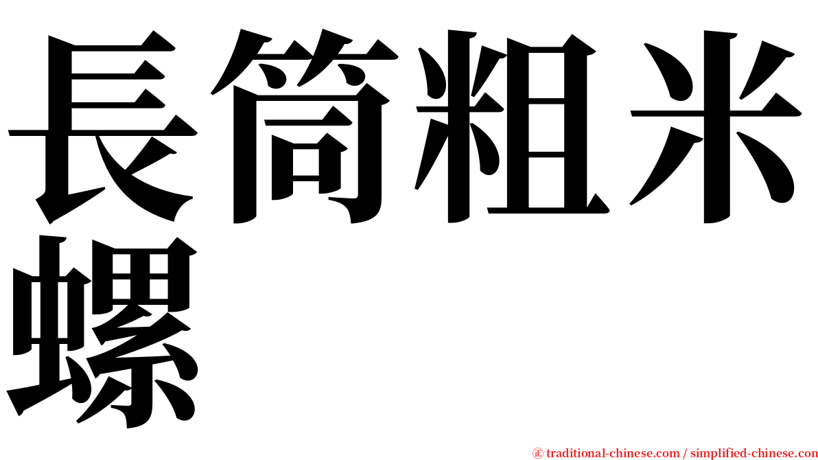 長筒粗米螺 serif font