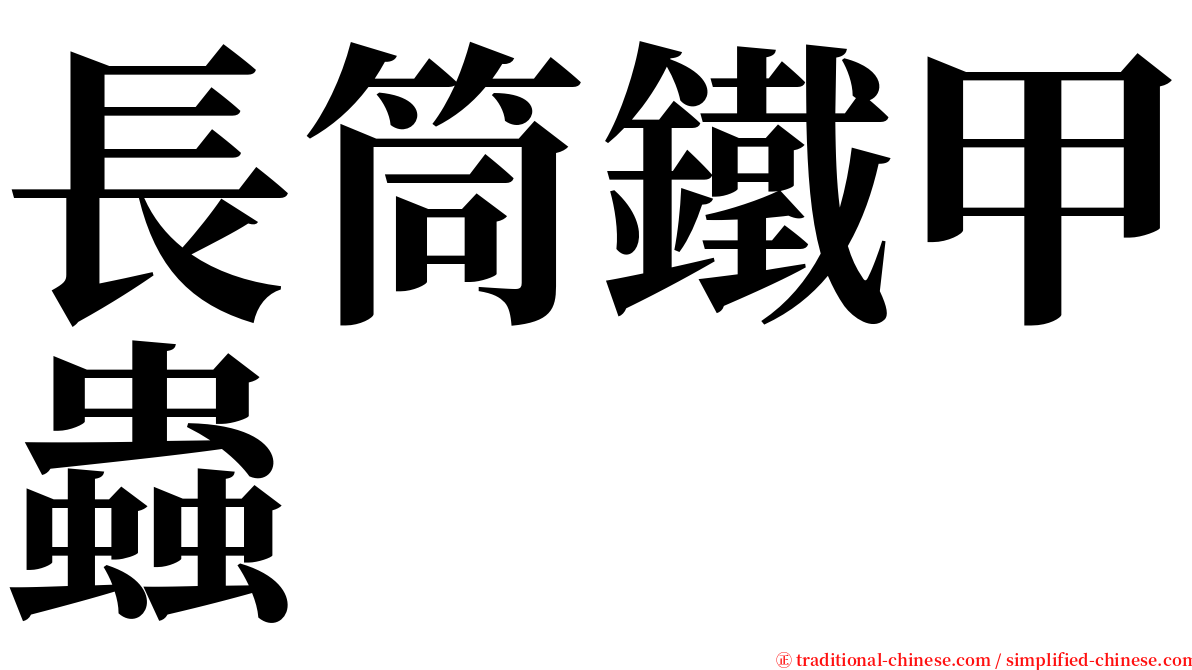 長筒鐵甲蟲 serif font