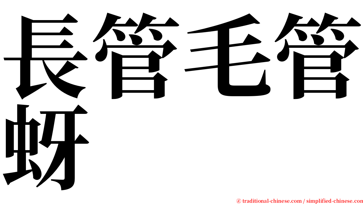 長管毛管蚜 serif font