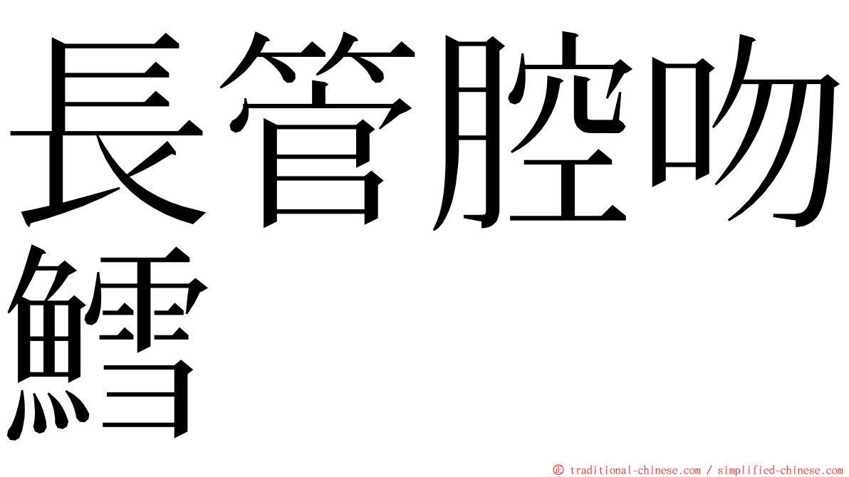 長管腔吻鱈 ming font