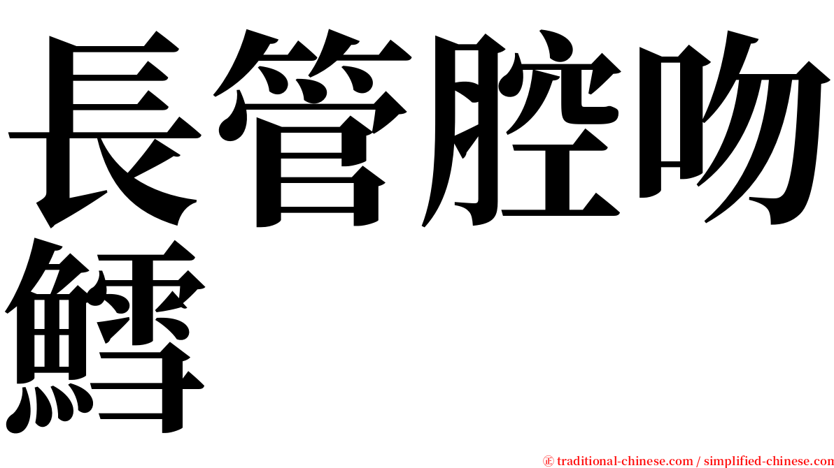 長管腔吻鱈 serif font