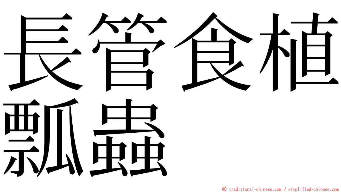 長管食植瓢蟲 ming font