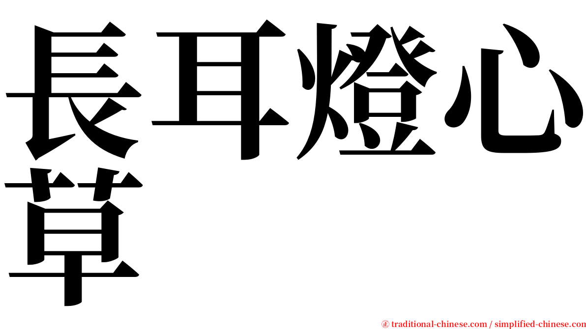 長耳燈心草 serif font