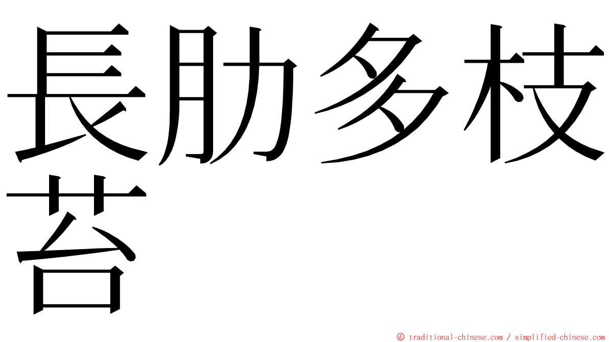 長肋多枝苔 ming font