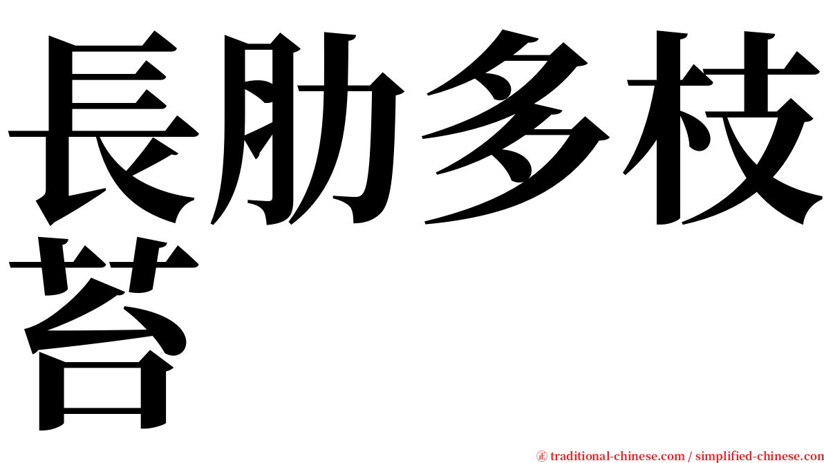 長肋多枝苔 serif font