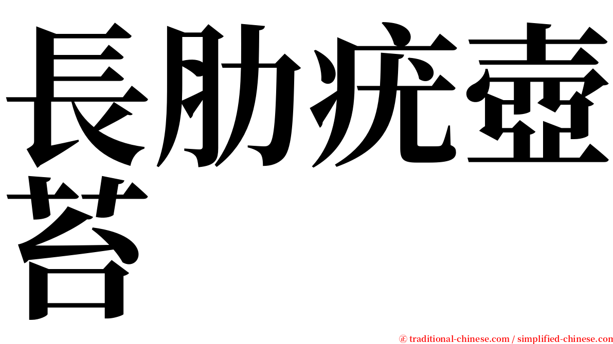 長肋疣壺苔 serif font