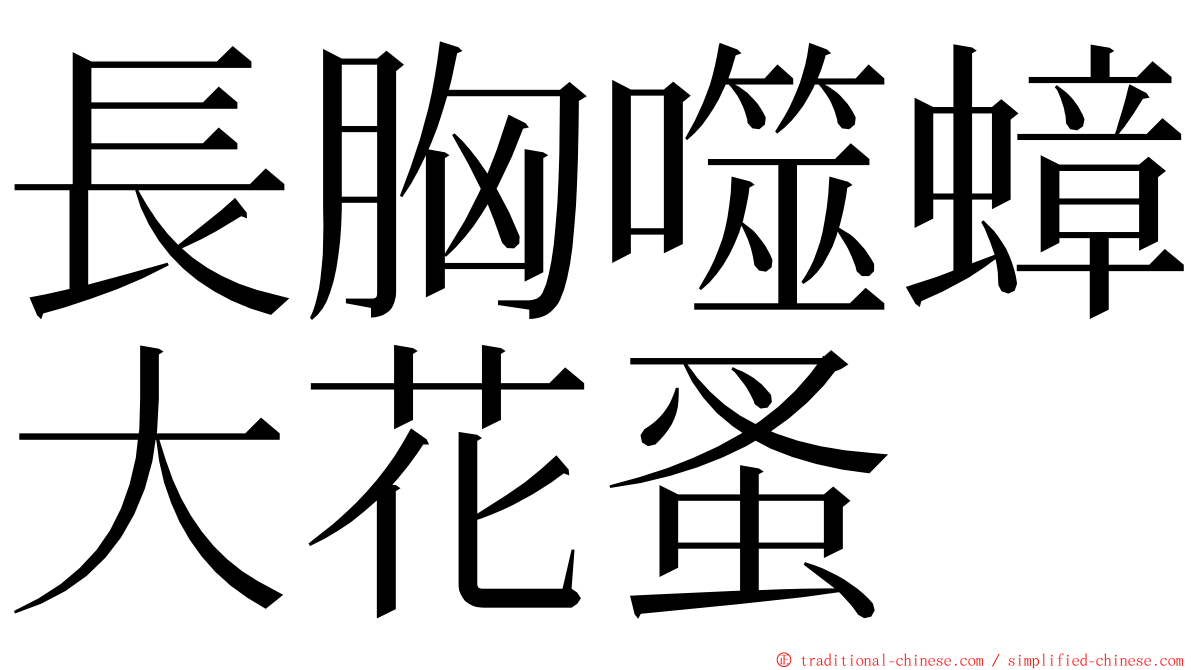 長胸噬蟑大花蚤 ming font