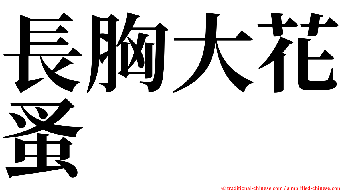 長胸大花蚤 serif font