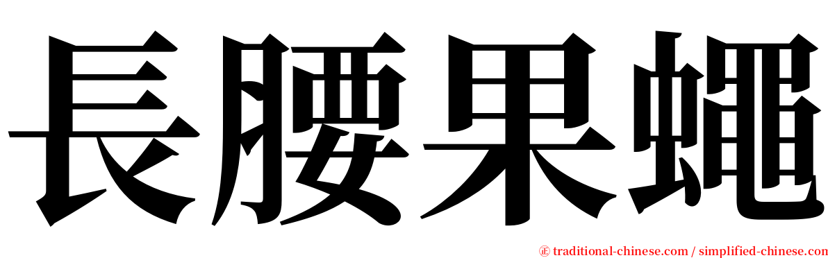 長腰果蠅 serif font