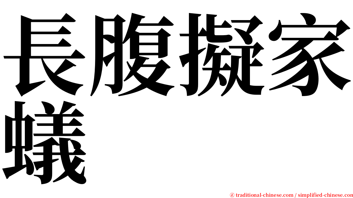 長腹擬家蟻 serif font