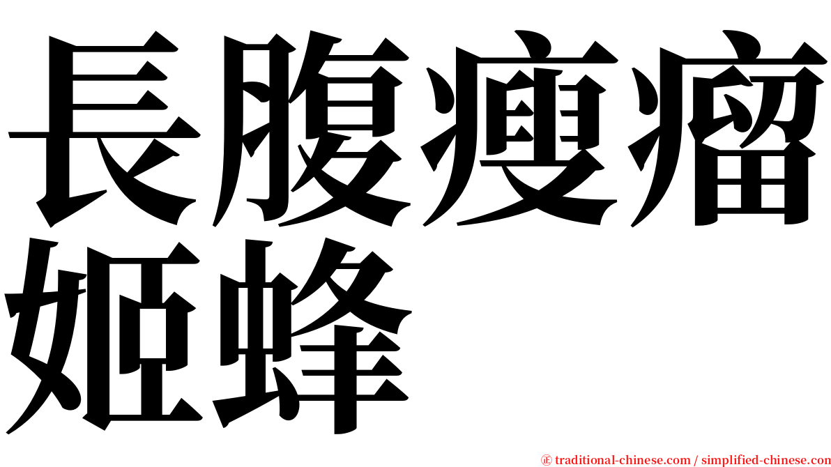 長腹瘦瘤姬蜂 serif font