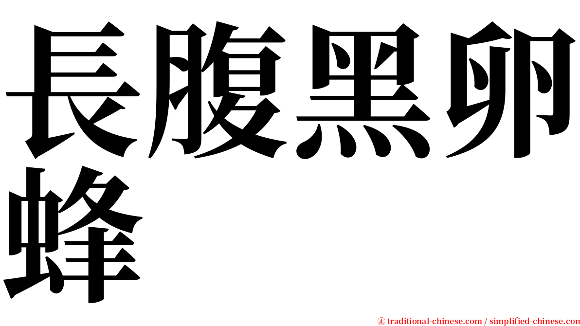 長腹黑卵蜂 serif font