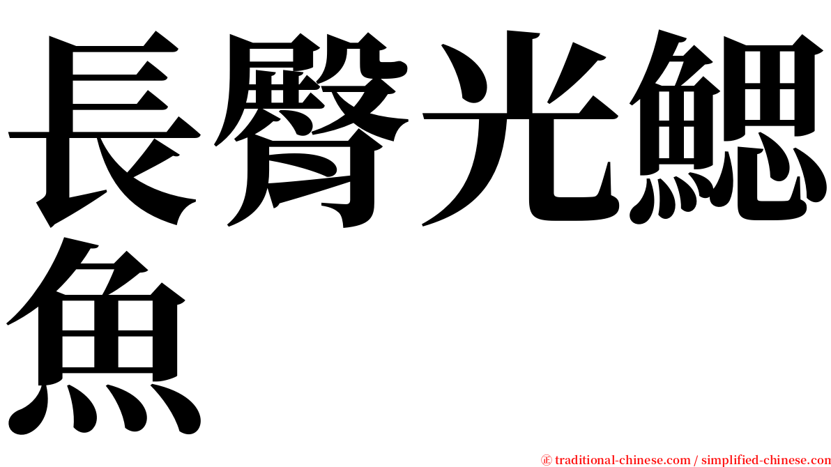 長臀光鰓魚 serif font