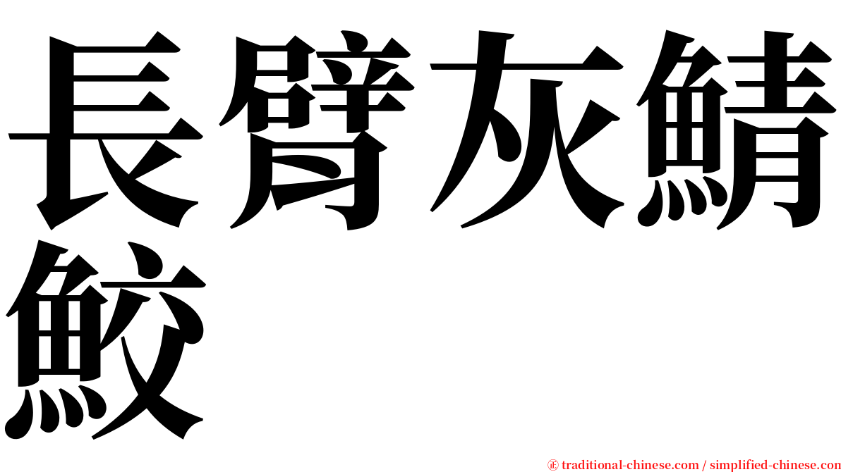 長臂灰鯖鮫 serif font