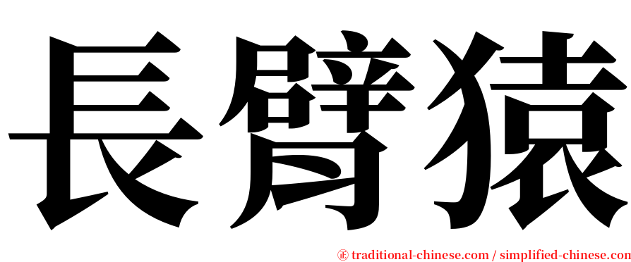 長臂猿 serif font