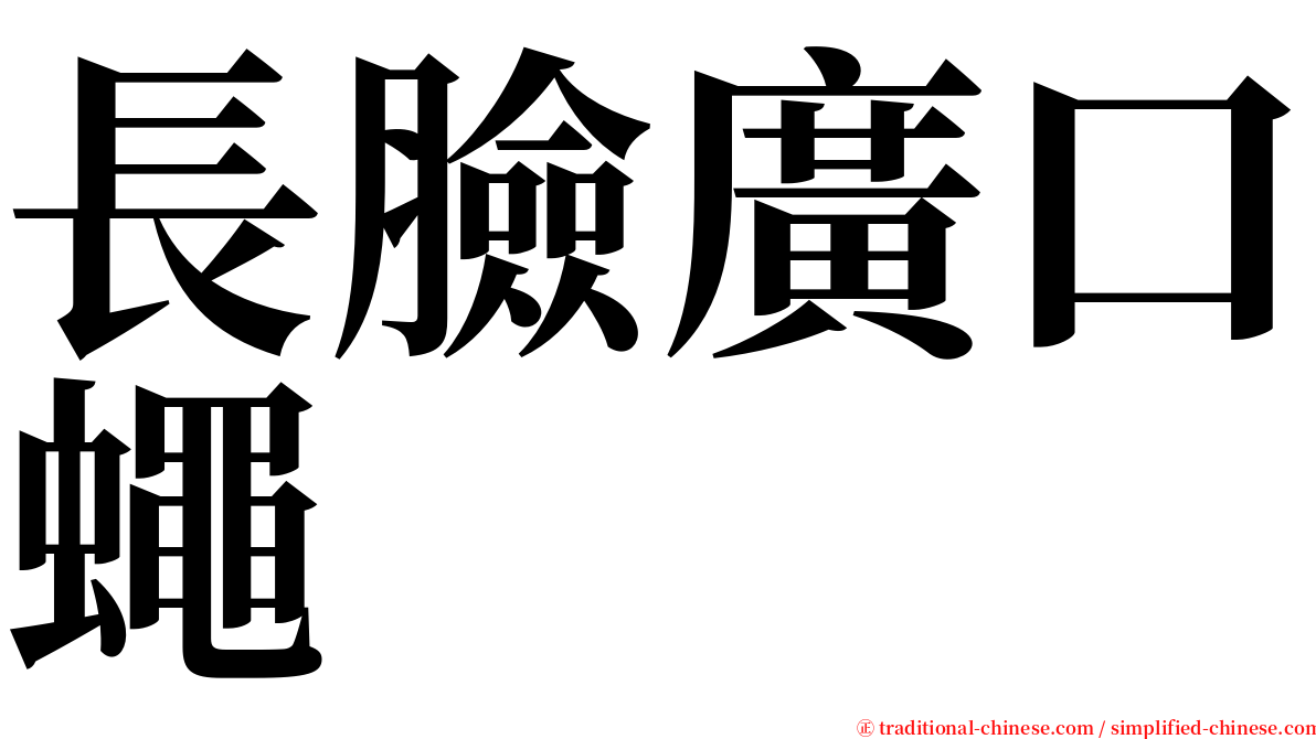 長臉廣口蠅 serif font