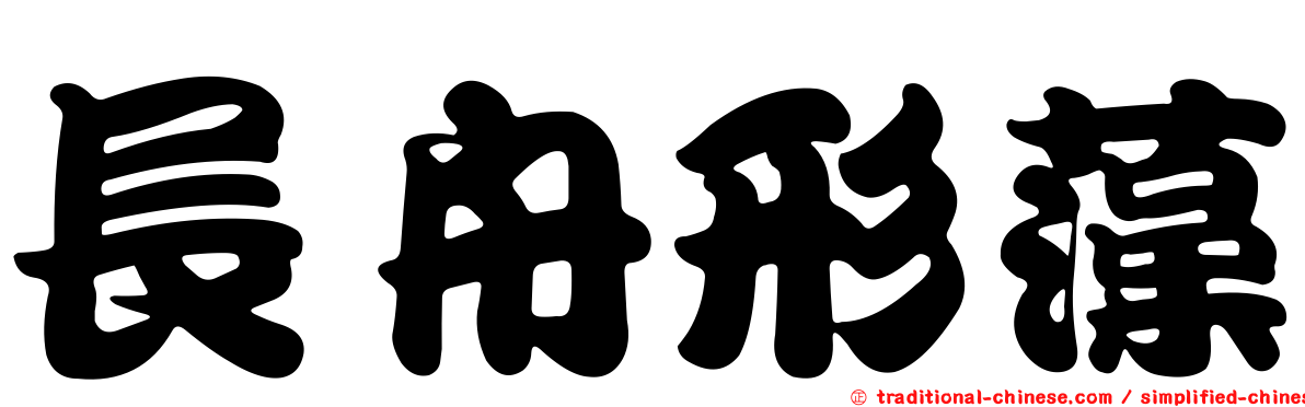 長舟形藻
