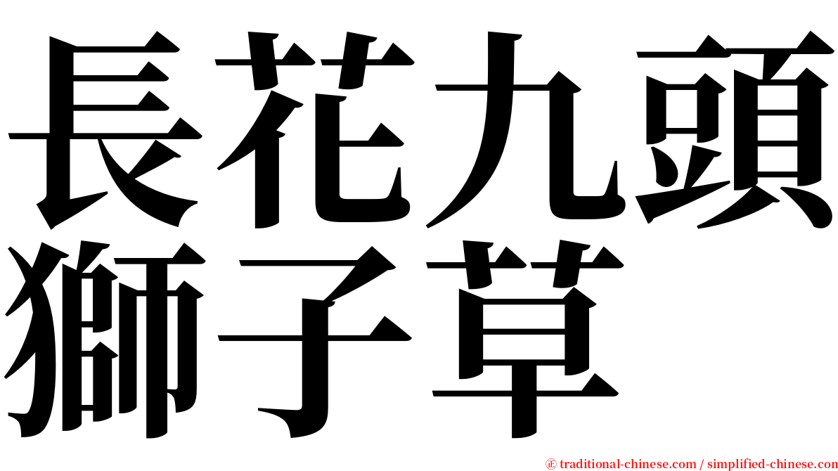 長花九頭獅子草 serif font