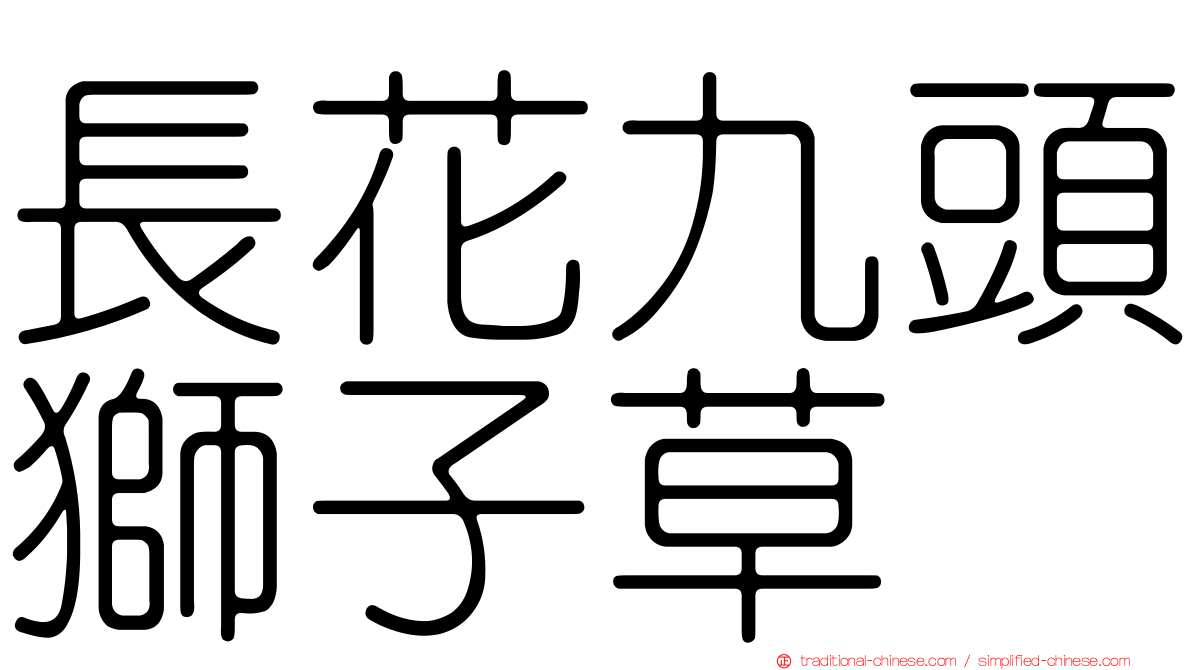 長花九頭獅子草
