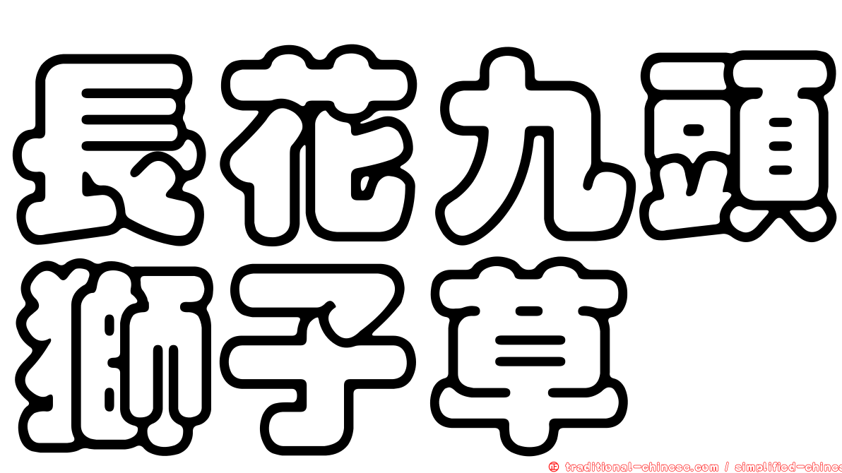 長花九頭獅子草