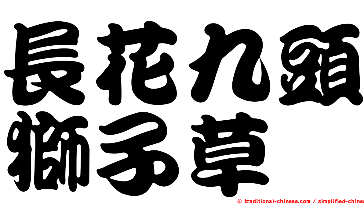 長花九頭獅子草