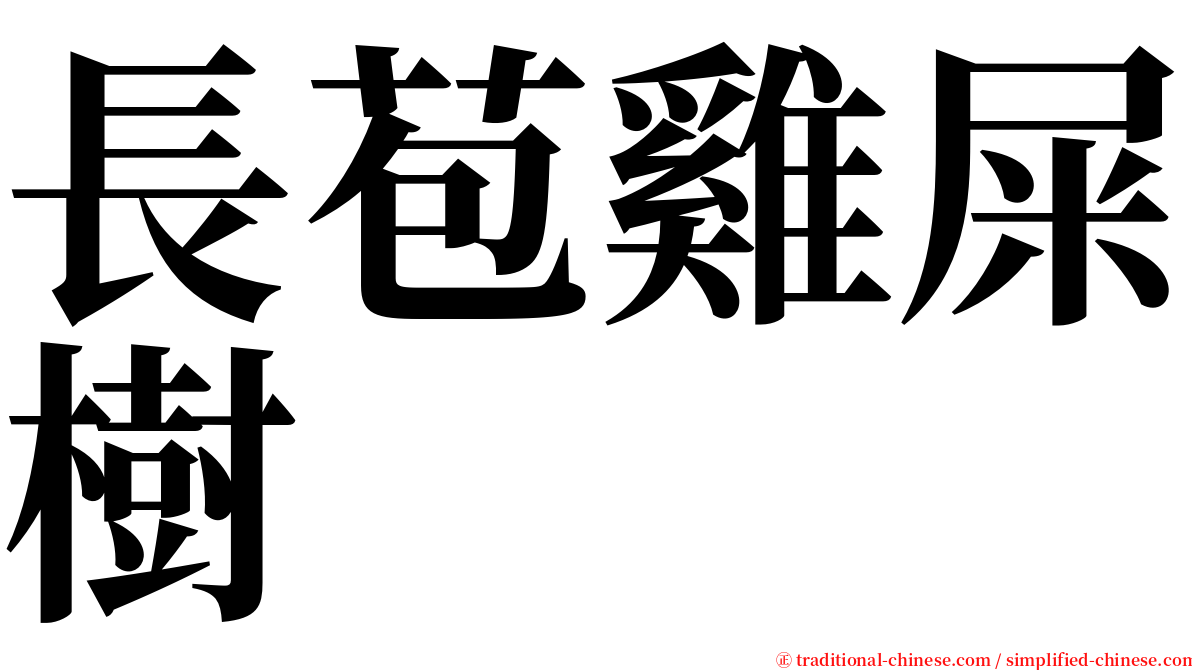 長苞雞屎樹 serif font